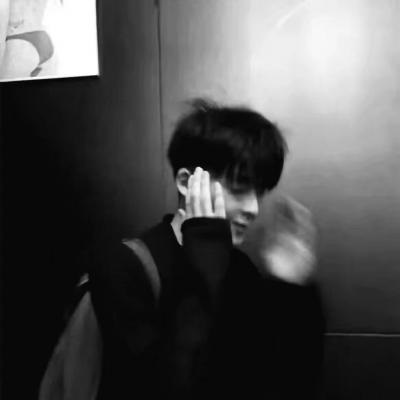 Furry插画故事感灵感福瑞群